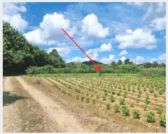  2025Ÿ��72249 ��� ��õ�� �̻�� ��ȭ�� 96      ����(��)���