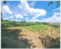  2025Ÿ��72249 ��� ��õ�� �̻�� ��ȭ�� 96      ����(��)���