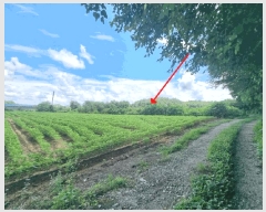  2025Ÿ��72249 ��� ��õ�� �̻�� ��ȭ�� 96      ����(��)���