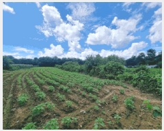  2025Ÿ��72249 ��� ��õ�� �̻�� ��ȭ�� 96      ����(��)���