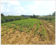  2025Ÿ��72249 ��� ��õ�� �̻�� ��ȭ�� 96      ����(��)���