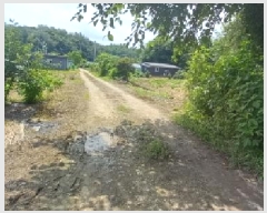  2025Ÿ��72249 ��� ��õ�� �̻�� ��ȭ�� 96      ����(��)���