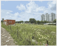  2025Ÿ��72472 ��� ���ֽ� ���絿 703-2       ����(����)���