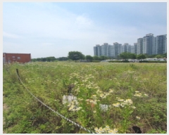  2025Ÿ��72472 ��� ���ֽ� ���絿 703-2       ����(����)���