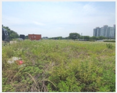  2025Ÿ��72472 ��� ���ֽ� ���絿 703-2       ����(����)���