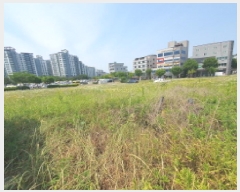  2025Ÿ��72472 ��� ���ֽ� ���絿 703-2       ����(����)���