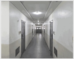  2025Ÿ��73010  ����Ʈ���