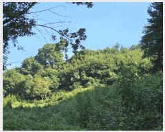  2025Ÿ��73026  �Ӿ߰��