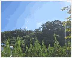  2025Ÿ��73026  �Ӿ߰��