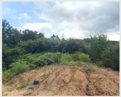  2025Ÿ��73026  �Ӿ߰��