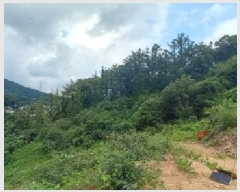  2025Ÿ��73026  �Ӿ߰��