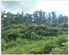  2025Ÿ��73026  �Ӿ߰��