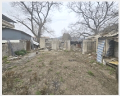  2025Ÿ1286  õ ̵  116-7      (Ӿ)