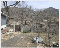  2025Ÿ1286  õ ̵  116-7      (Ӿ)