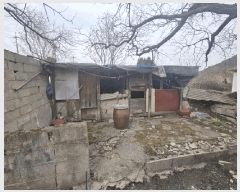  2025Ÿ1286  õ ̵  116-7      (Ӿ)