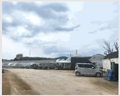  2025Ÿ��1675  ����