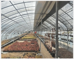  2025Ÿ��1675  ����