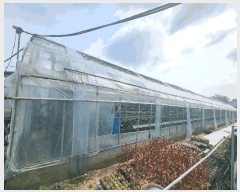  2025Ÿ��1675  ����