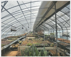  2025Ÿ��1675  ����