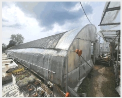  2025Ÿ��1675  ����