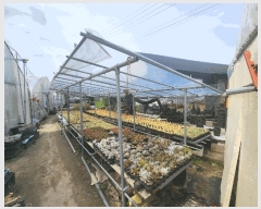  2025Ÿ��1675  ����