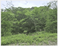  2025Ÿ1842  ö ȭ â 11      (Ӿ)