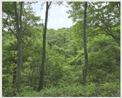  2025Ÿ1842  ö ȭ â 11      (Ӿ)