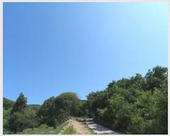  2025Ÿ1842  ö ȭ â 11      (Ӿ)