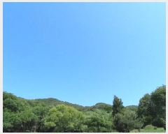  2025Ÿ1842  ö ȭ â 11      (Ӿ)