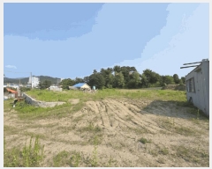  2025Ÿ��1910 ��� ��õ�� ������ 147-7       ����(��)���