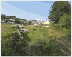  2025Ÿ��1910 ��� ��õ�� ������ 147-7       ����(��)���