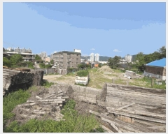  2025Ÿ��1910 ��� ��õ�� ������ 147-7       ����(��)���