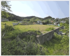  2025Ÿ��1910 ��� ��õ�� ������ 147-7       ����(��)���