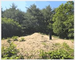  2025Ÿ��2265  �Ӿ߰��