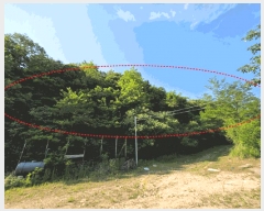  2025Ÿ��2265  �Ӿ߰��