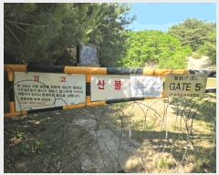  2025Ÿ��2265  �Ӿ߰��