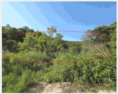  2025Ÿ��2265  �Ӿ߰��