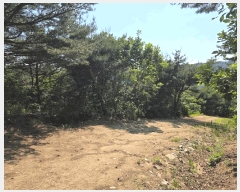  2025Ÿ��2265  �Ӿ߰��