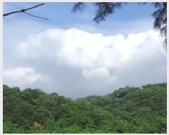  2025Ÿ��2265  �Ӿ߰��