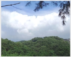  2025Ÿ��2265  �Ӿ߰��