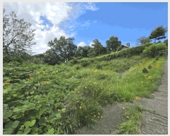  2025Ÿ2821  õ и ϸ 32-14      (Ӿ)