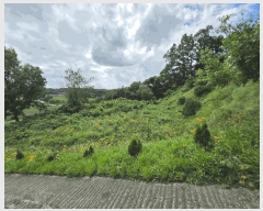  2025Ÿ2821  õ и ϸ 32-14      (Ӿ)