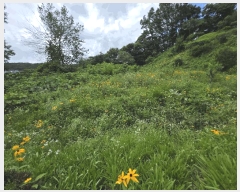  2025Ÿ2821  õ и ϸ 32-14      (Ӿ)