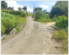  2025Ÿ2821  õ и ϸ 32-14      (Ӿ)