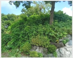  2025Ÿ2821  õ и ϸ 32-14      (Ӿ)