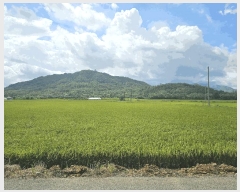  2025Ÿ��3213 ���� ö���� ö���� �߸� 394      ����(��)���