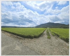  2025Ÿ��3213 ���� ö���� ö���� �߸� 394      ����(��)���