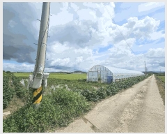  2025Ÿ��3213 ���� ö���� ö���� �߸� 394      ����(��)���