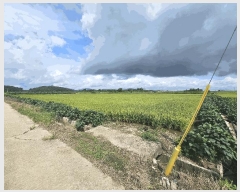  2025Ÿ��3213 ���� ö���� ö���� �߸� 394      ����(��)���