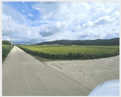  2025Ÿ��3213 ���� ö���� ö���� �߸� 394      ����(��)���